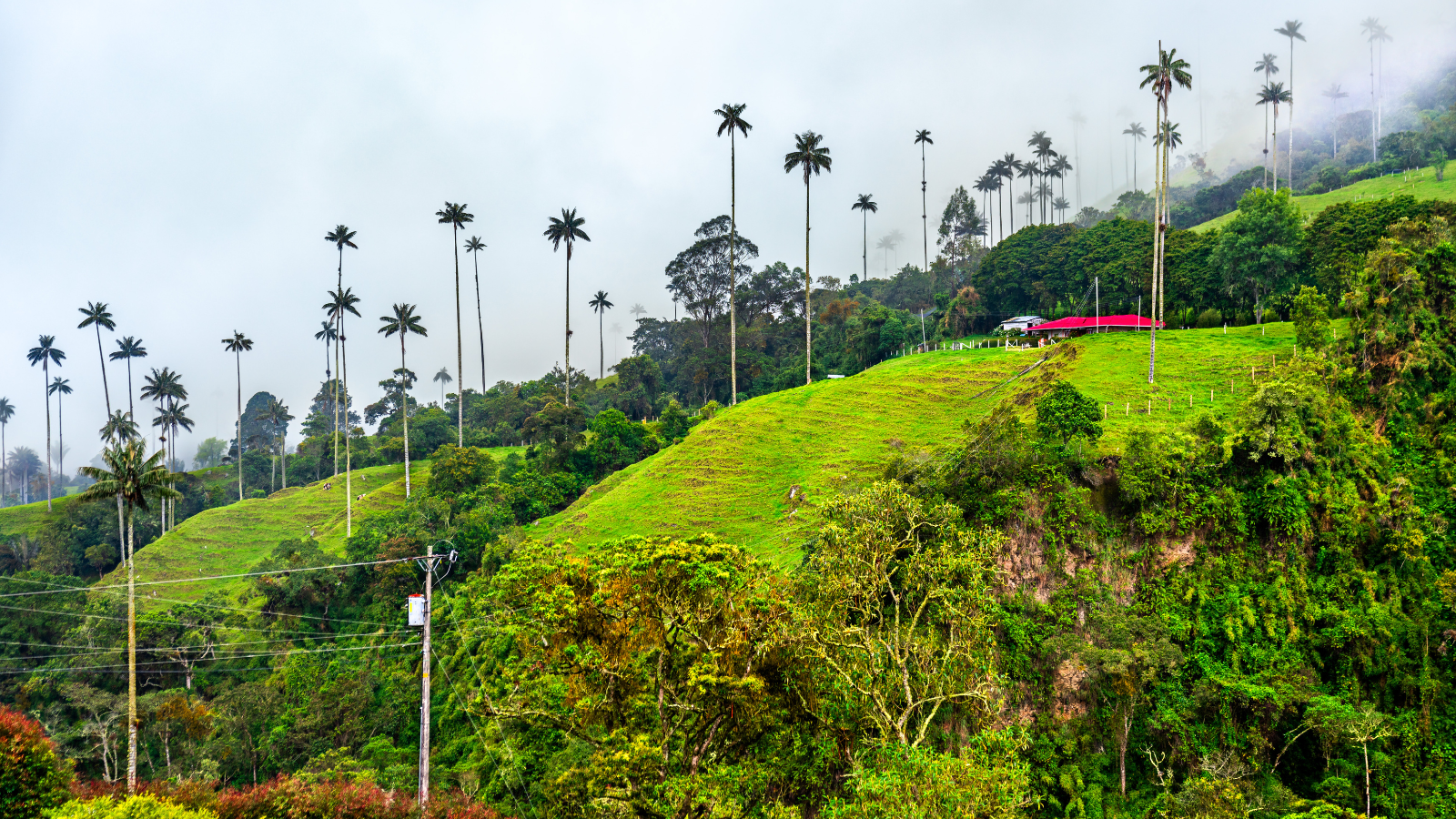 טיול בקולומביה