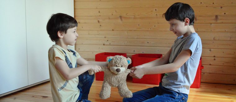 איך להתמודד עם מריבות בין אחים בטיולים משפחתיים?